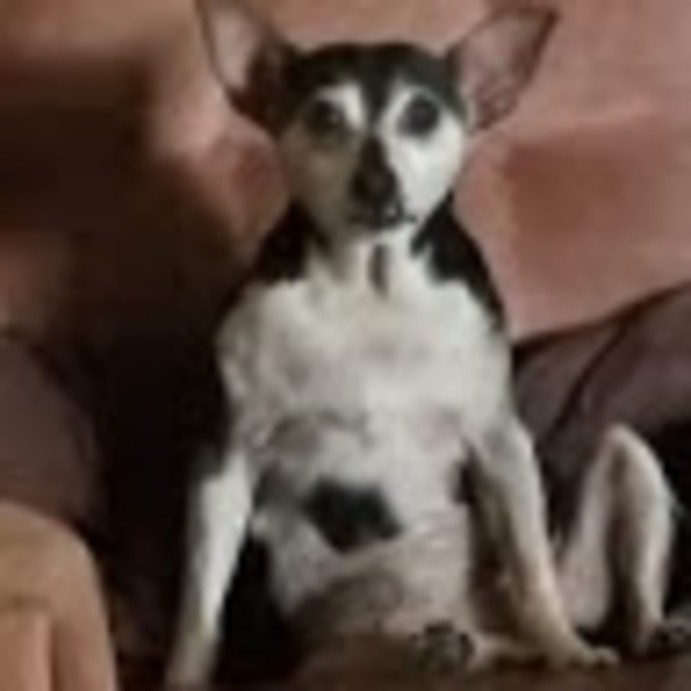 Meet your Posher, Kristie